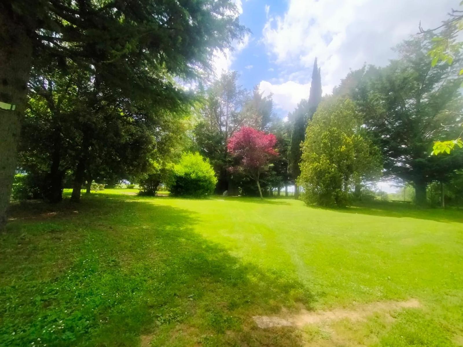 Villetta Con Parco Vicino San Gimignano กอลเลวัลเดลซา ภายนอก รูปภาพ