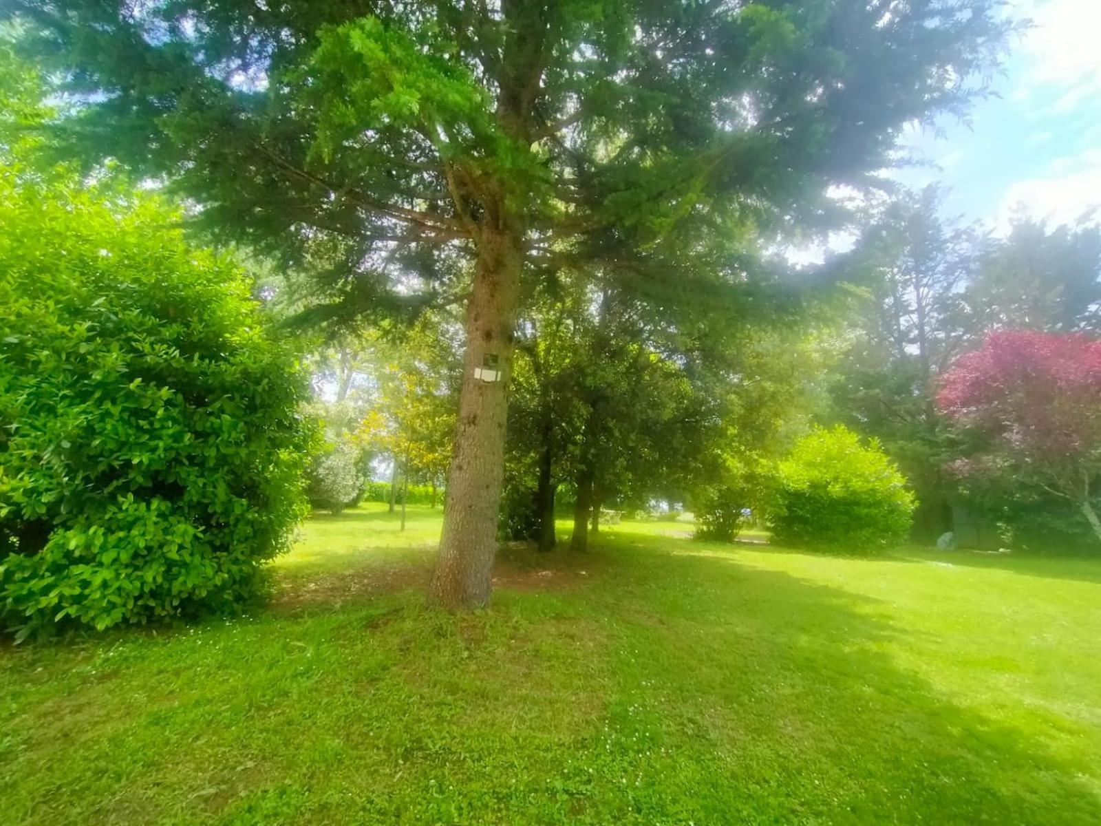 Villetta Con Parco Vicino San Gimignano กอลเลวัลเดลซา ภายนอก รูปภาพ