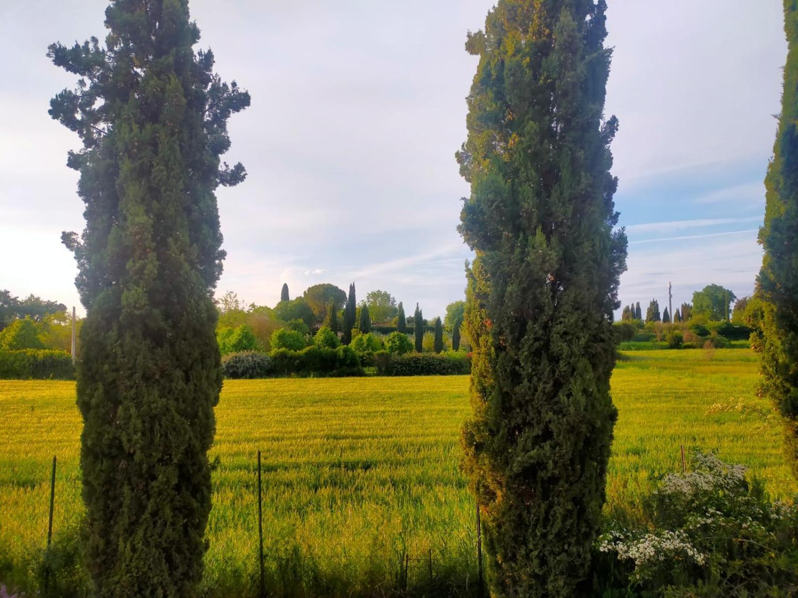 Villetta Con Parco Vicino San Gimignano กอลเลวัลเดลซา ภายนอก รูปภาพ